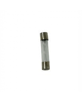 FUSIBLE 20 AMP VIDRIO